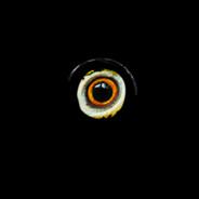ElOjoPollo's Stream profile image
