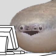 Bfish's Stream profile image