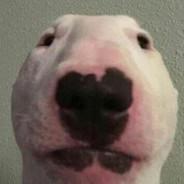 Julian's Stream profile image