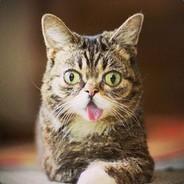 Seal Bot's Stream profile image