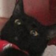 DvoN's Stream profile image