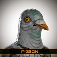 Pigeon's Stream profile image