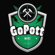 merZ's Stream profile image