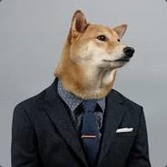 ☁Dorkie✪ ヅ's - Steam avatar