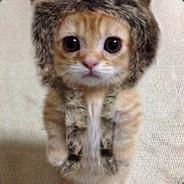 manitasdelavinas's Stream profile image