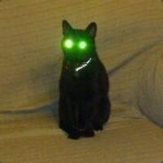 GoTcHiLa's Stream profile image