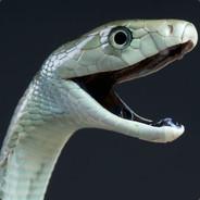 Dragonite's Stream profile image