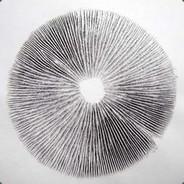 RotPriest's - Steam avatar