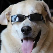 prebski baby's Stream profile image