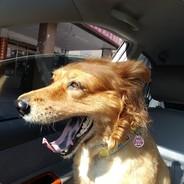 DontBeBoring's Stream profile image