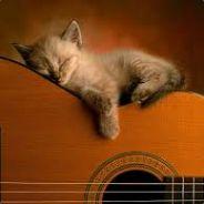 TTV_FREEMER's Stream profile image