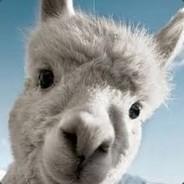 h60117's Stream profile image