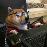 Doodoo's Stream profile image