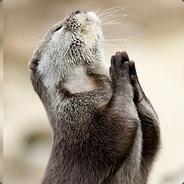 Das Otter's - Steam avatar