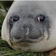 Sad Seal's Stream profile image