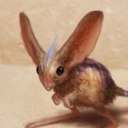 Muad'dib's Stream profile image