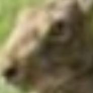 Räb8's - Steam avatar
