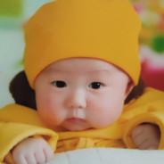 青枫's Stream profile image