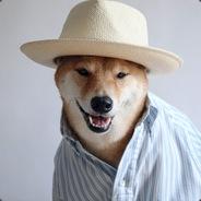 Jamoi's Stream profile image