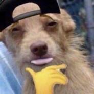 Sefxl's Stream profile image