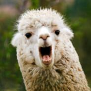 MrLlama's - Steam avatar