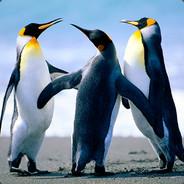 Manuel24's Stream profile image