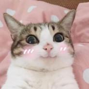 CandyPanda_♠'s Stream profile image