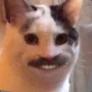 manuljk's Stream profile image