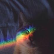 law's - Steam avatar