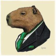 Carpincho's Stream profile image