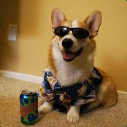 Farticia's Stream profile image