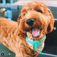 [TK5] TheHuggernaut's Stream profile image