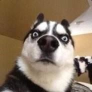 老不正经's Stream profile image