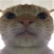 Yekun's Stream profile image