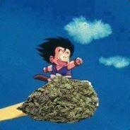 El Barretsitico's Stream profile image