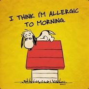 RanDX's Stream profile image