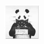 Bad Panda's Stream profile image