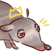 Filipe's Stream profile image