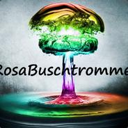 RosaBuschtrommel | Paul's - Steam avatar