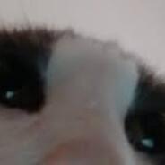 Michi's Stream profile image