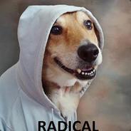 Imallowedindoors's Stream profile image