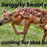 Swiggity Swooty's Stream profile image