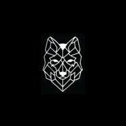 TWOWOLVES's Stream profile image