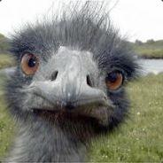 RealLife's Stream profile image