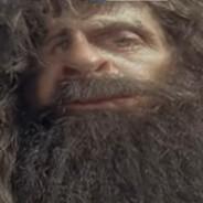[ITCL] Haia Schaschcock's Stream profile image