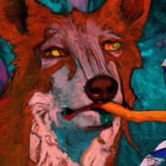 fodiator rostratus's Stream profile image