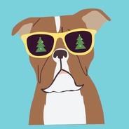 HHU-Rango's Stream profile image