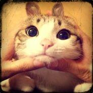 Royal_Unclesam's Stream profile image