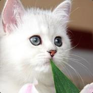 gottabreathe's - Steam avatar