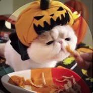 子衿's Stream profile image